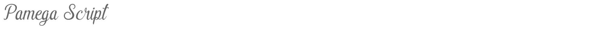 Sample characters Pamega Script Font